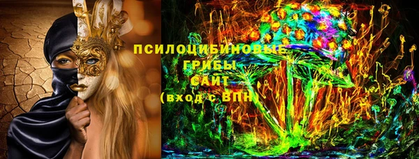 ГАЛЛЮЦИНОГЕННЫЕ ГРИБЫ Беломорск
