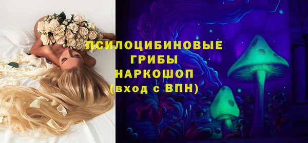 ГАЛЛЮЦИНОГЕННЫЕ ГРИБЫ Беломорск