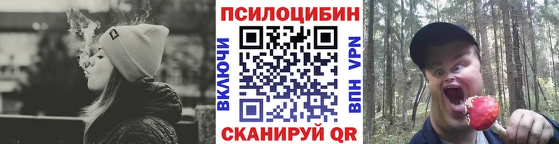 где найти   Сычёвка  Галлюциногенные грибы ЛСД 